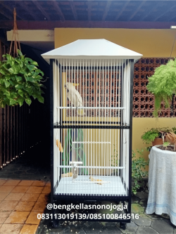 Kandang Burung Jogja 